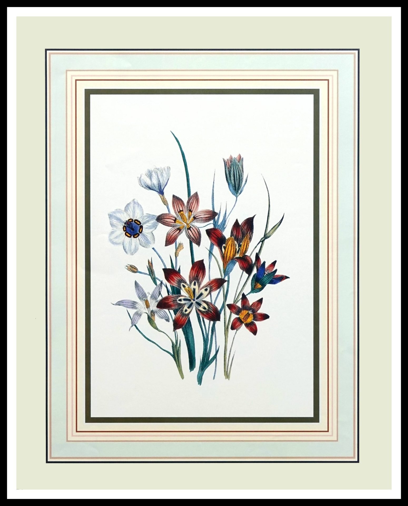 FR PN152 Floral Study II